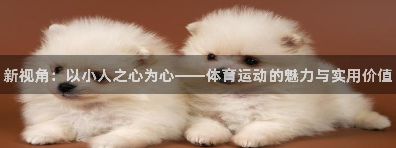 尊龙官方正版app集团E.ON：新视角：以小人之心为