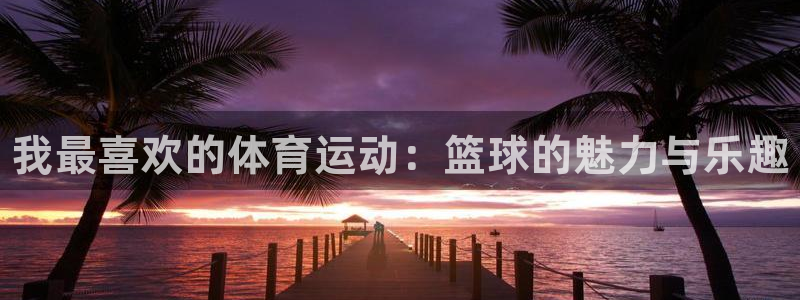尊龙官网下载平台注册流程图：我最喜欢的体育运动：篮球