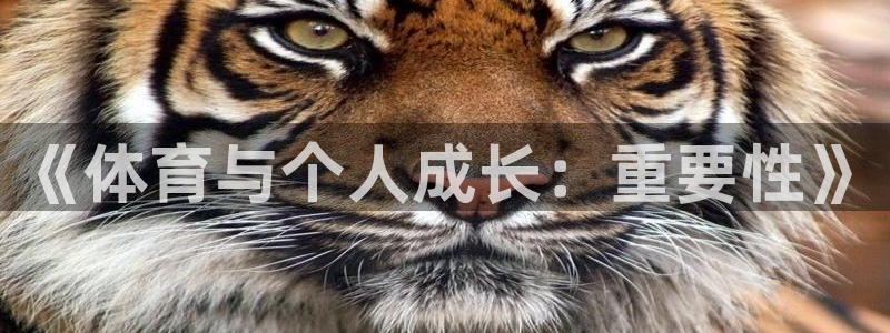 海南尊龙官网下载
