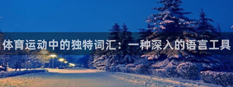 德国尊龙官方正版app集团：体育运动中的独特词汇：一