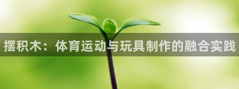 尊龙官方正版app集团简介：摆积木：体育运动与玩具制