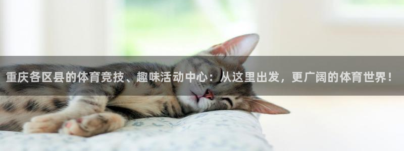 尊龙官方正版app五金厂：重庆各区县的体育竞技、趣味