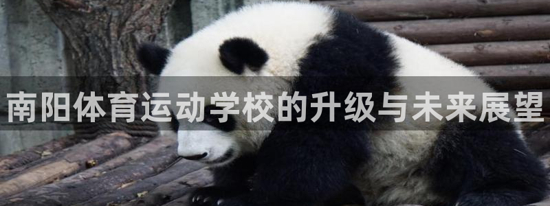 尊龙官网下载平台是正规平台吗：南阳体育运动学校的升级