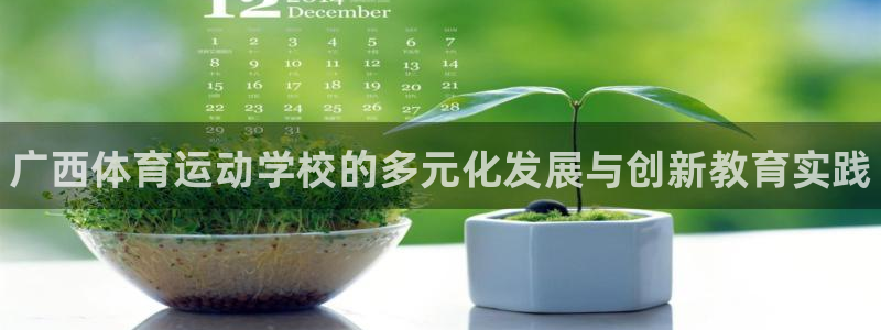 尊龙官网下载平台注册要钱吗：广西体育运动学校的多元化发展与创
