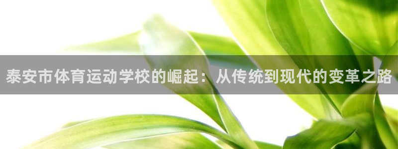 尊龙官网下载招商电话地址是多少：泰安市体育运动学校的崛起：从