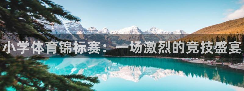 尊龙官网下载招商电话地址查询：小学体育锦标赛：一场激