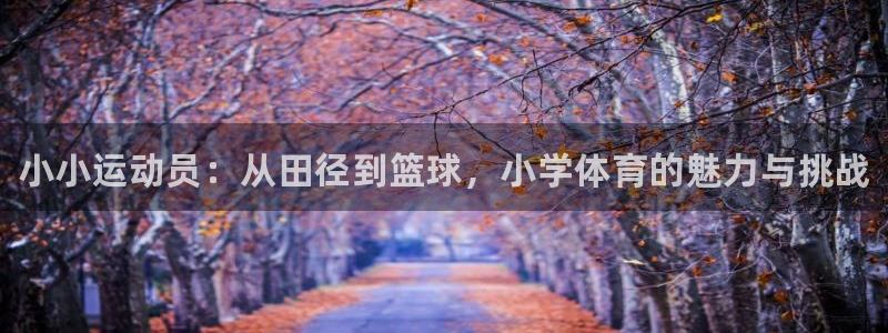 尊龙官网下载平台是正规平台吗知乎：小小运动员：从田径