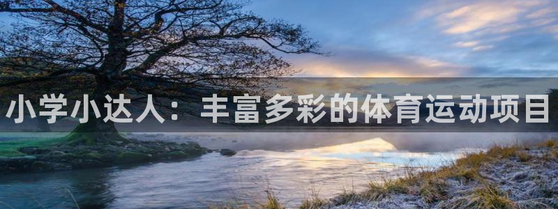 尊龙官网下载招商电话号码是多少：小学小达人：丰富多彩的体育运