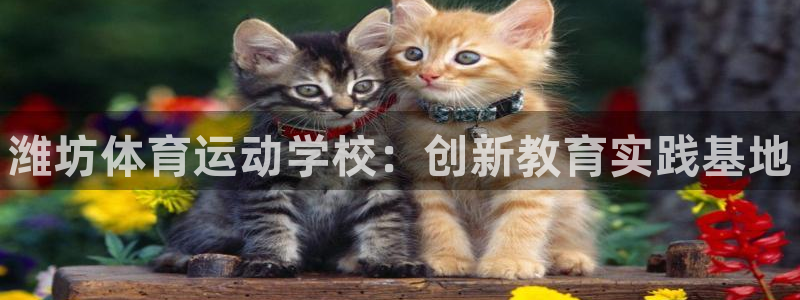 德国尊龙官方正版app集团：潍坊体育运动学校：创新教育实践基