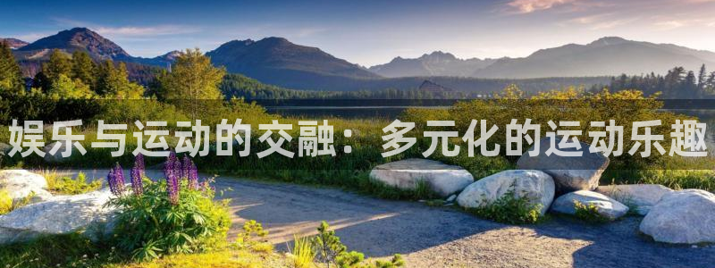 尊龙官网下载平台注册要钱吗：娱乐与运动的交融：多元化