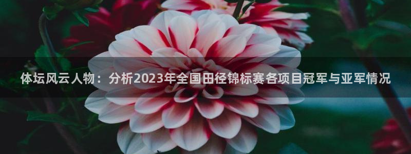 尊龙官方正版app娱乐是那个系列的台子：体坛风云人物