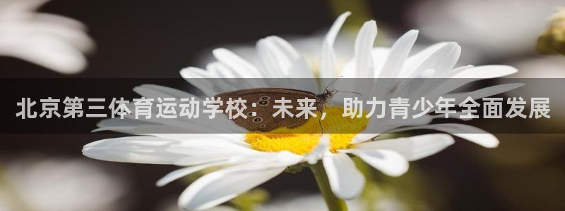 尊龙官网下载注册：北京第三体育运动学校：未来，助力青