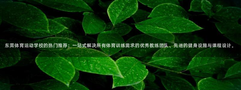 尊龙官网下载招商电话号码：东莞体育运动学校的热门推荐