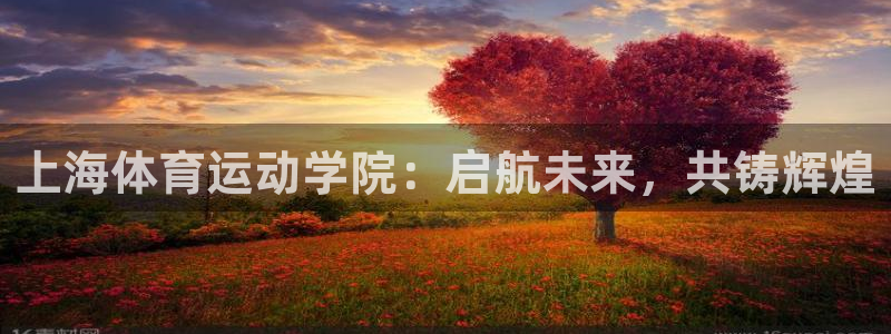 尊龙官方正版app神州：上海体育运动学院：启航未来，