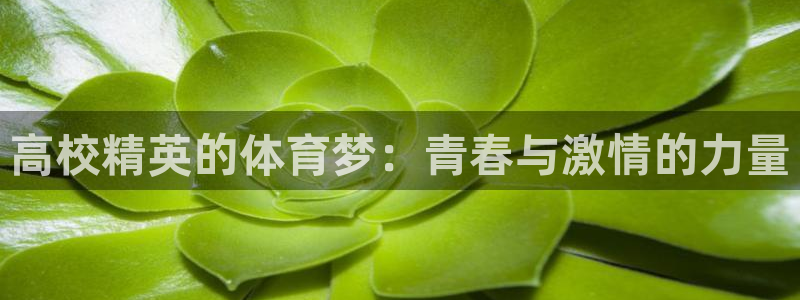 尊龙官方平台体育：高校精英的体育梦：青春与激情的力量