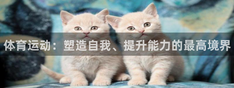 尊龙官网下载招商电话地址：体育运动：塑造自我、提升能