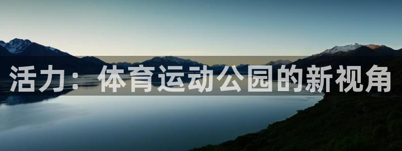 尊龙官方正版app娱乐下载：活力：体育运动公园的新视