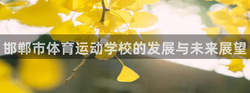 尊龙官方平台体育