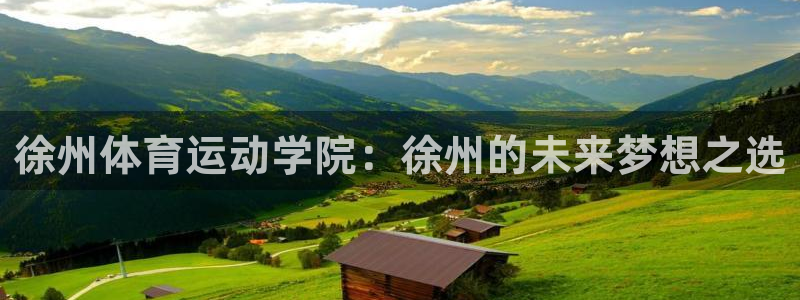 尊龙官方正版app集团官网首页网址：徐州体育运动学院