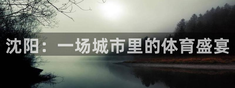 尊龙官网下载平台假的吗是真的吗：沈阳：一场城市里的体育盛宴