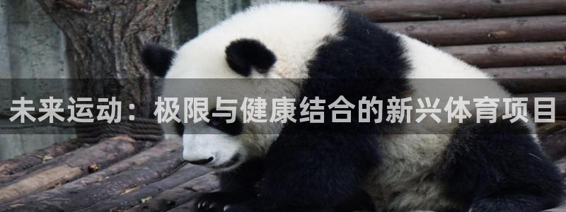 尊龙官网下载平台注册要钱吗是真的吗：未来运动：极限与