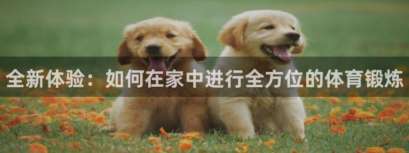 尊龙官网下载官方客服电话：全新体验：如何在家中进行全