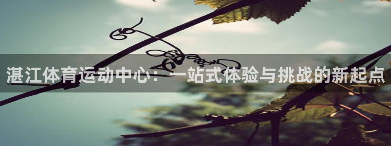 尊龙官方正版app新能源：湛江体育运动中心：一站式体