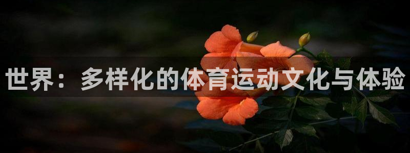 尊龙官方集团官网:世界:多样化的体育运动文化与体验