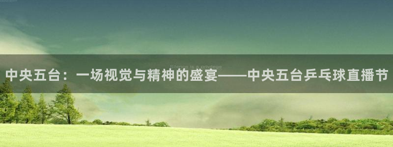 柠檬体育直播高清：中央五台：一场视觉与精神的盛宴——中央五台乒乓球直播节
