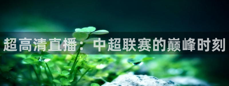 柠檬nba篮球直播：超高清直播：中超联赛的巅峰时刻