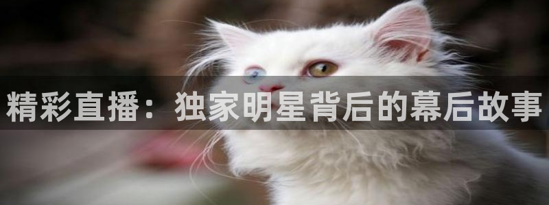 柠檬体育足球视频直播：精彩直播：独家明星背后的幕后故事