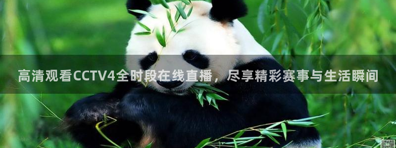 柠檬直播 篮球：高清观看CCTV4全时段在线直播，尽享精彩赛事与生活瞬间