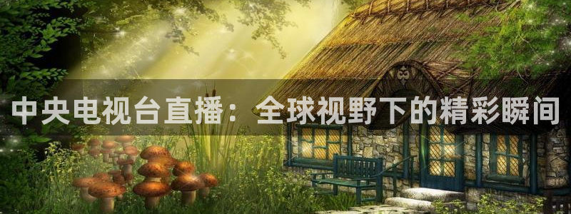 柠檬直播足球高清免费直播：中央电视台直播：全球视野下的精彩瞬间