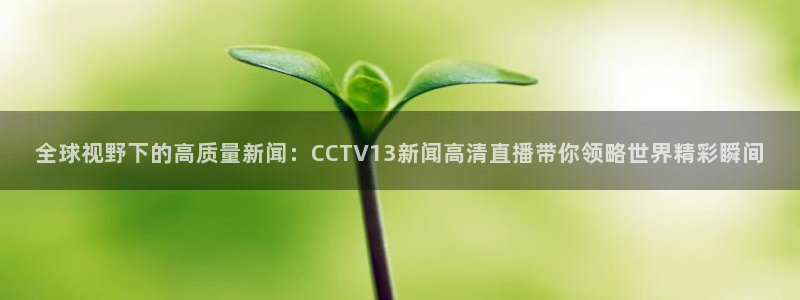 柠檬视频直播：全球视野下的高质量新闻：CCTV13新闻高清直播带你领略世界精彩瞬间