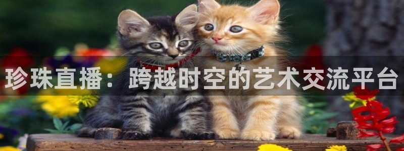 柠檬体育直播网址