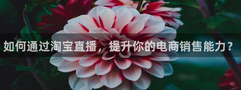 柠檬直播nba：如何通过淘宝直播，提升你的电商销售能力？
